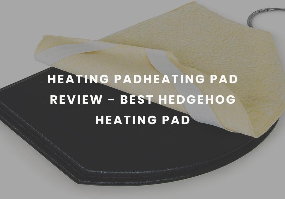Stuffed animal heating pad and it's Benefits Blog Academy