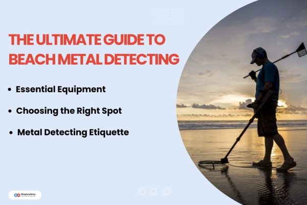 The Ultimate Guide to Beach Metal Detecting