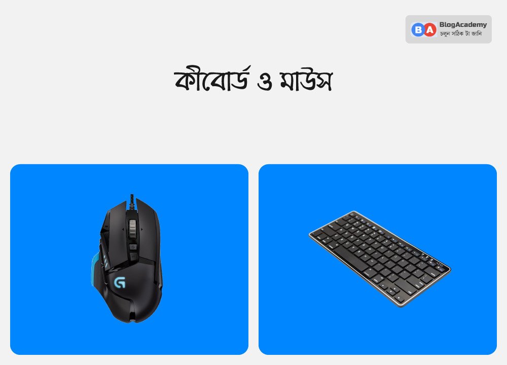 মাউস এবং কীবোর্ড মাউস এবং কীবোর্ড